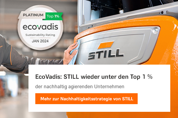 EcoVadis Auszeichnung 2024 
